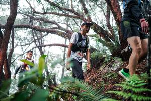 BIB: 
                            <button type="button" onclick="openModal(26295771)" class="btn btn-primary btn-sm float-right btn-popup" data-toggle="modal" data-target=".modal-high-quality">
                        <i class="fas fa-shopping-cart"></i> Add to Cart
                    </button>
                                            <button type="button" onclick="isThisMe(26295771, true)" class="btn btn-success btn-sm float-right btn-popup btn-isme hidden" data-toggle="tooltip" data-placement="bottom" title="นี่คือรูปของคุณใช่ไหม คลิกที่นี่เพื่อเอาเข้าอัลบั้ม">
                        <i class="fas fa-plus"></i> Add to album
                    </button>
                    <button type="button" onclick="isThisMe(26295771, false)" class="btn btn-warning btn-sm float-right btn-popup btn-isnotme hidden">
                        <i class="fas fa-ban"></i> Remove from album
                    </button>